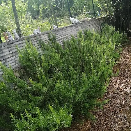 Lejlighed With Parking Space - Crikvenica - 5592