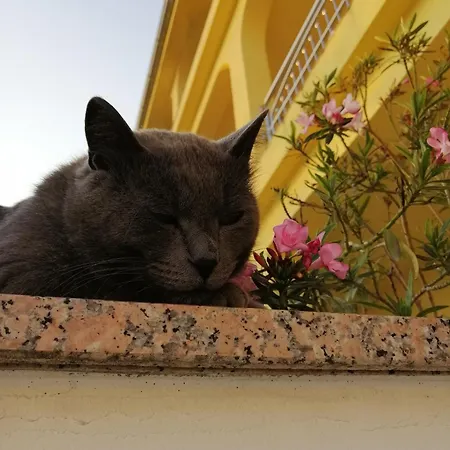With A Parking Space Dramalj, Crikvenica - 5592 Διαμέρισμα