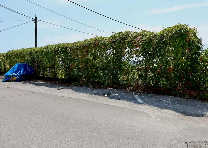 Apartments With Parking Space Dramalj - Crikvenica - 5592 Apartment Dramalj